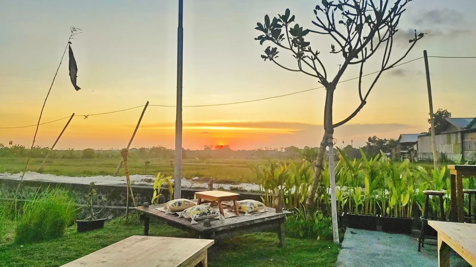 Best Place to Drink in Canggu